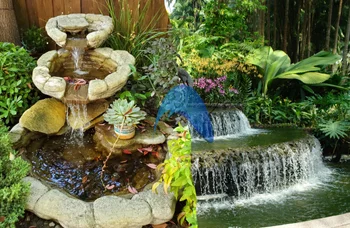Custom Water Features