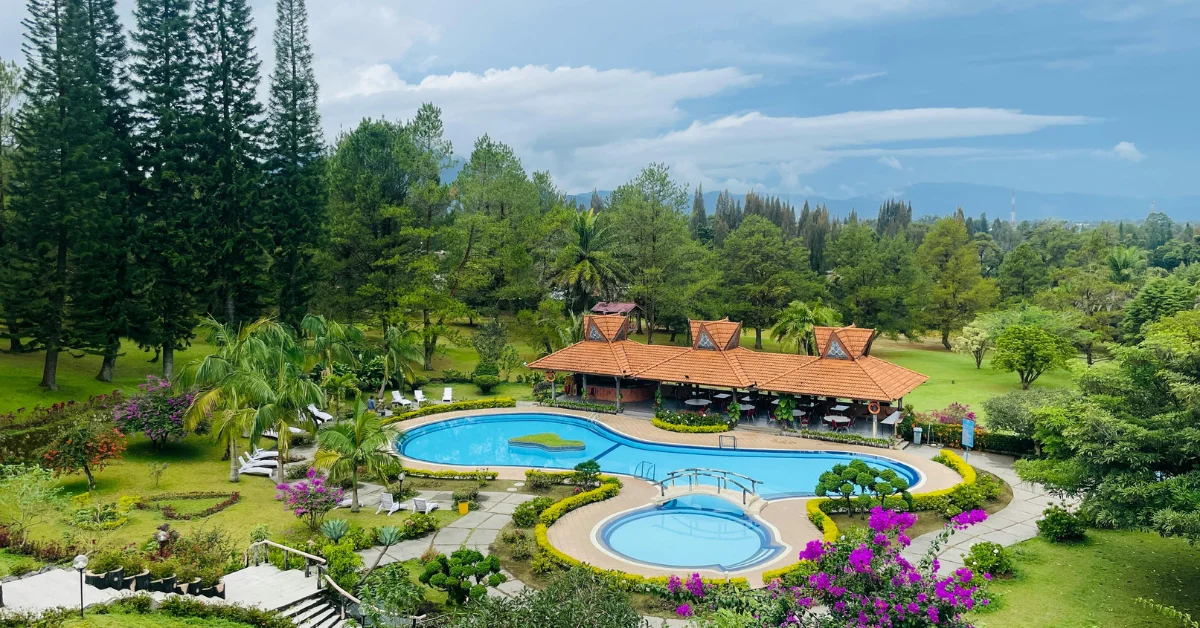 Best Swimming Pool Landscaping & Plants for Poolside Area